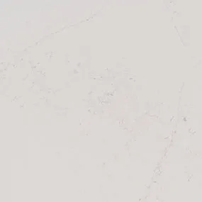Calacatta Botanica Quartz