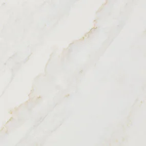 Calacatta Premata Quartz