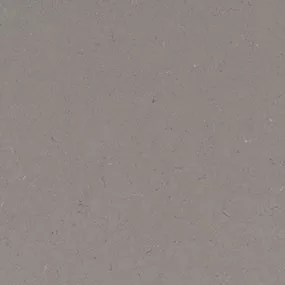 Fossil Gray Quartz