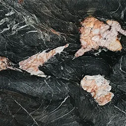 Crytos Quartzite